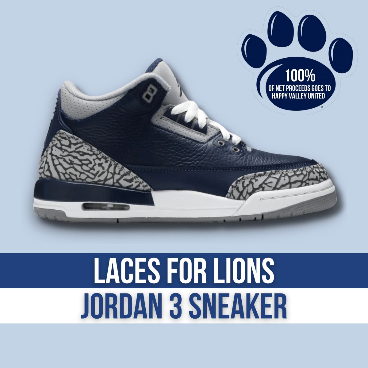 Jordan Laces for Lions Air Jordan 3 Retro Navy & Silver Mid Sneaker â Jawns on Fire