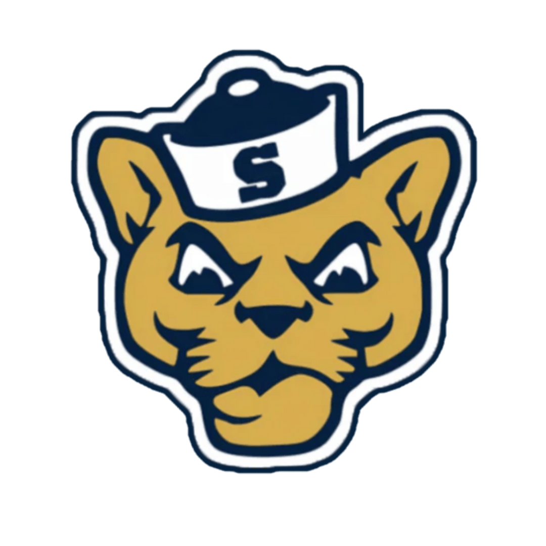 BIG FACE Lion - Only Jawns - Performance Hoodie - Hoodie - Jawns on Fire Sneakers & Shoes