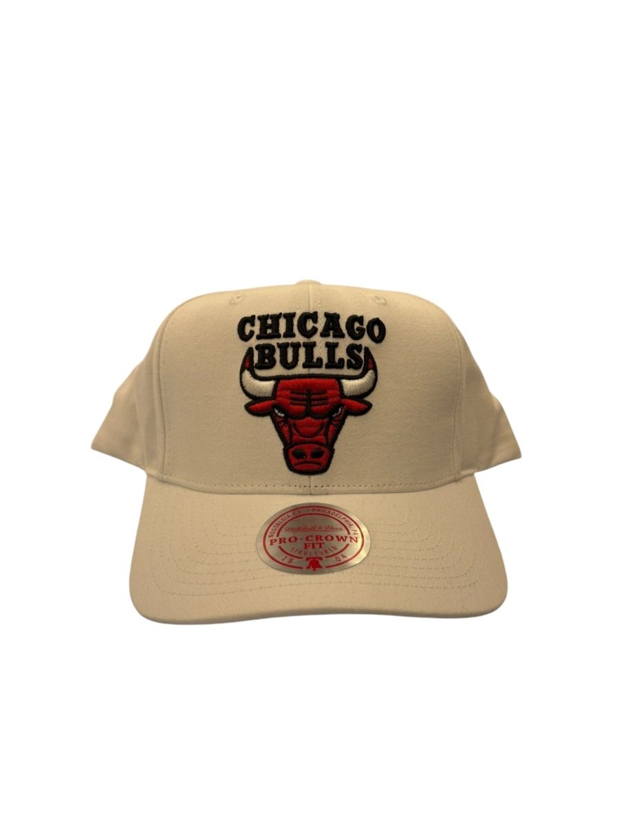 Chicago Bulls Logo Snapback Hat - Clothing Accessory - Jawns on Fire Sneakers &amp; Shoes