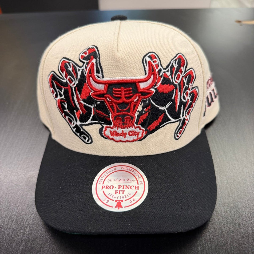 Chicago Bulls Windy City Mitchell &amp; Ness - Clothing Accessory - Jawns on Fire Sneakers &amp; Shoes