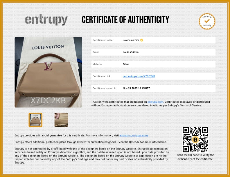 Louis Vuitton Capucines MM Brown Red Hand Bag