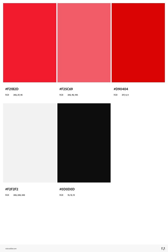 Dunk Low Championship White Red - Grade School - Sneakers - Jawns on Fire Sneakers & Shoes