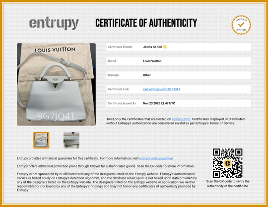 Louis Vuitton Taurillion Leather Hand Bag White