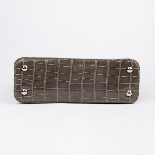 Louis Vuitton Alligator Capucines PM Gris Perle N94018
