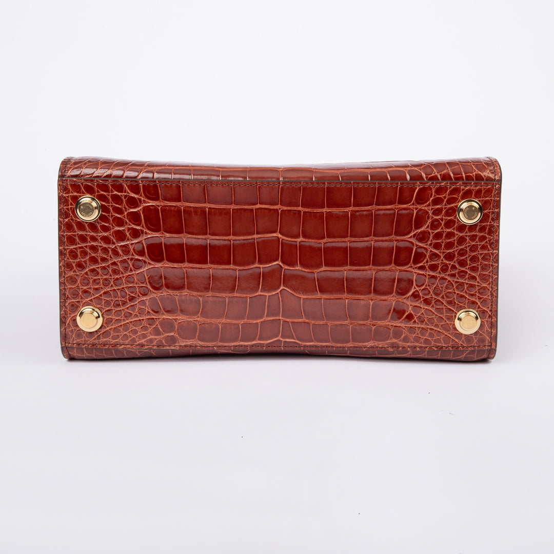 Louis Vuitton Alligator City Steamer MM Sienna Brown N93356
