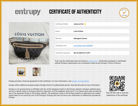 Louis Vuitton High Rise Bumbag Monogram