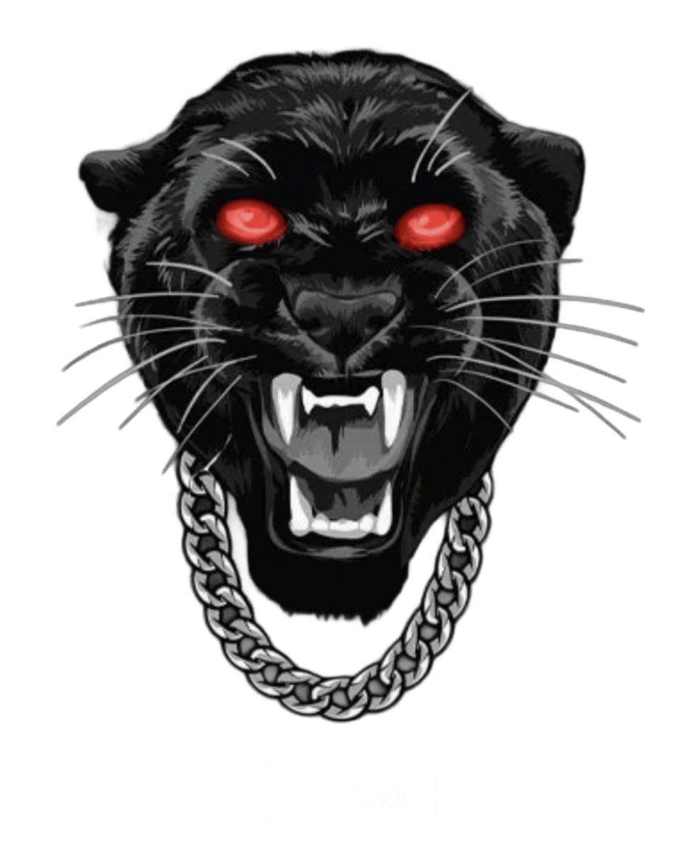 Jordan 11 BRED Panther - Original Jawns - Black T-Shirt - T-Shirt - Jawns on Fire Sneakers & Shoes