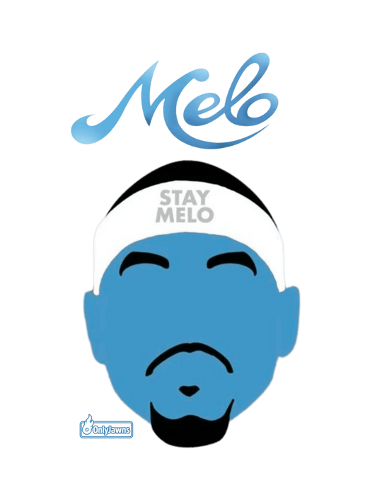 Jordan 12 Melo - Stay Melo - Original Jawns - White T-Shirt - T-Shirt - Jawns on Fire Sneakers & Shoes