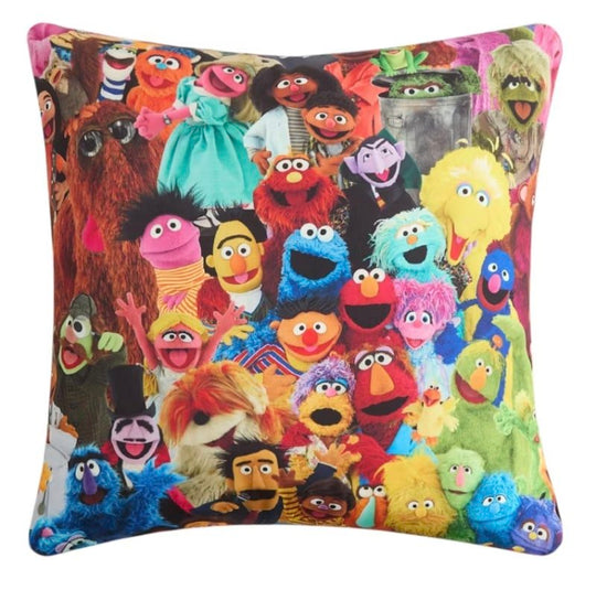 Kith x Sesame Street Pillow - Collectibles - Jawns on Fire Sneakers &amp; Shoes