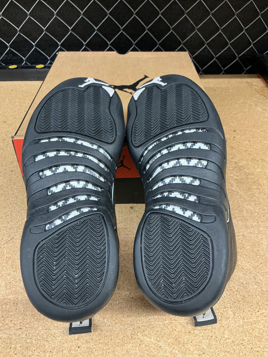 Jordan 12 Master (Men’s 12) Used