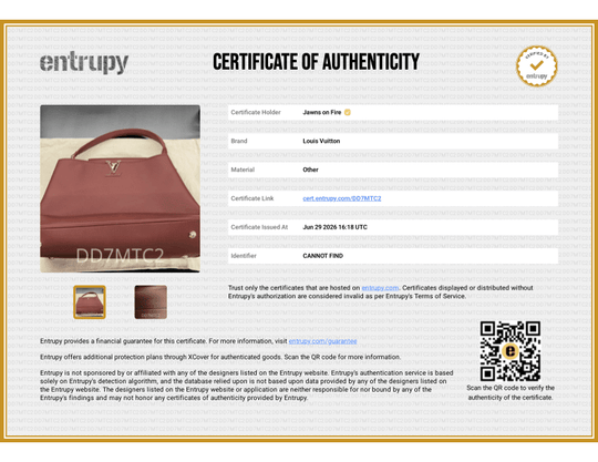 Louis Vuitton Capucines GM Souple Satchel Rust Red M13027 - Handbags - Jawns on Fire Sneakers &amp; Shoes