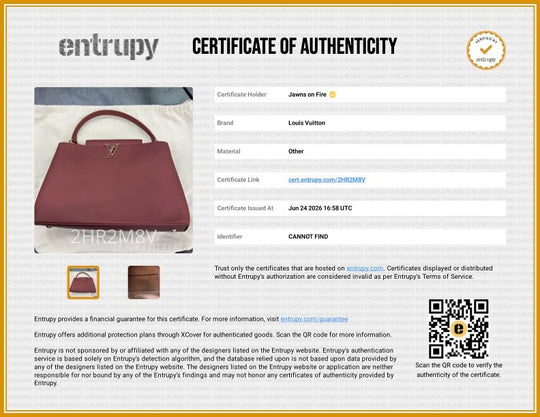 Louis Vuitton Capucines GM Souple Satchel Rust Red M13027 - Handbags - Jawns on Fire Sneakers & Shoes