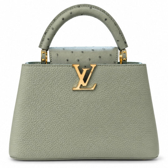 Louis Vuitton Mint Ostrich BB - Handbags - Jawns on Fire Sneakers &amp; Shoes