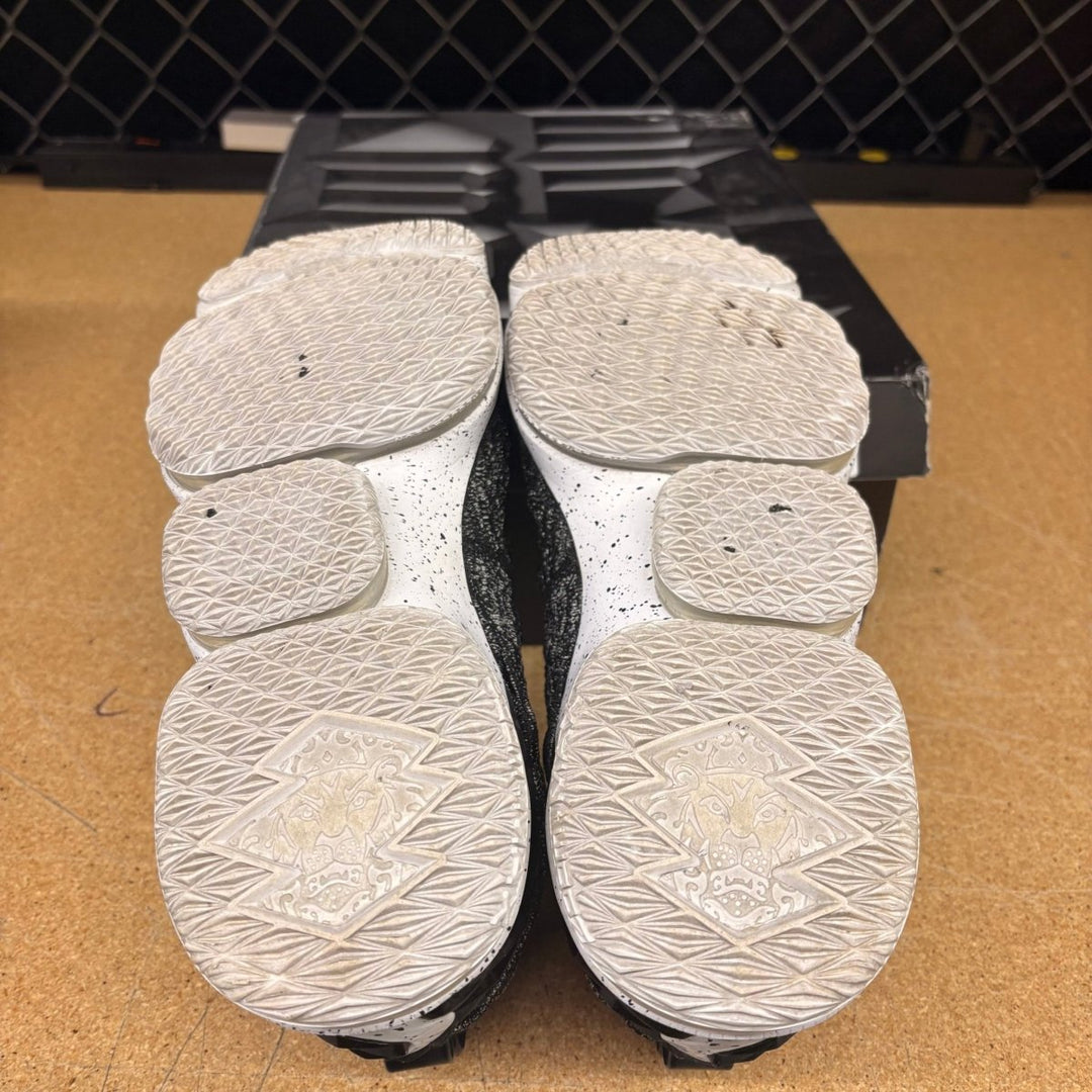 Nike LeBron 15 Ashes Men 12 Used - Sneakers - Jawns on Fire Sneakers &amp; Shoes