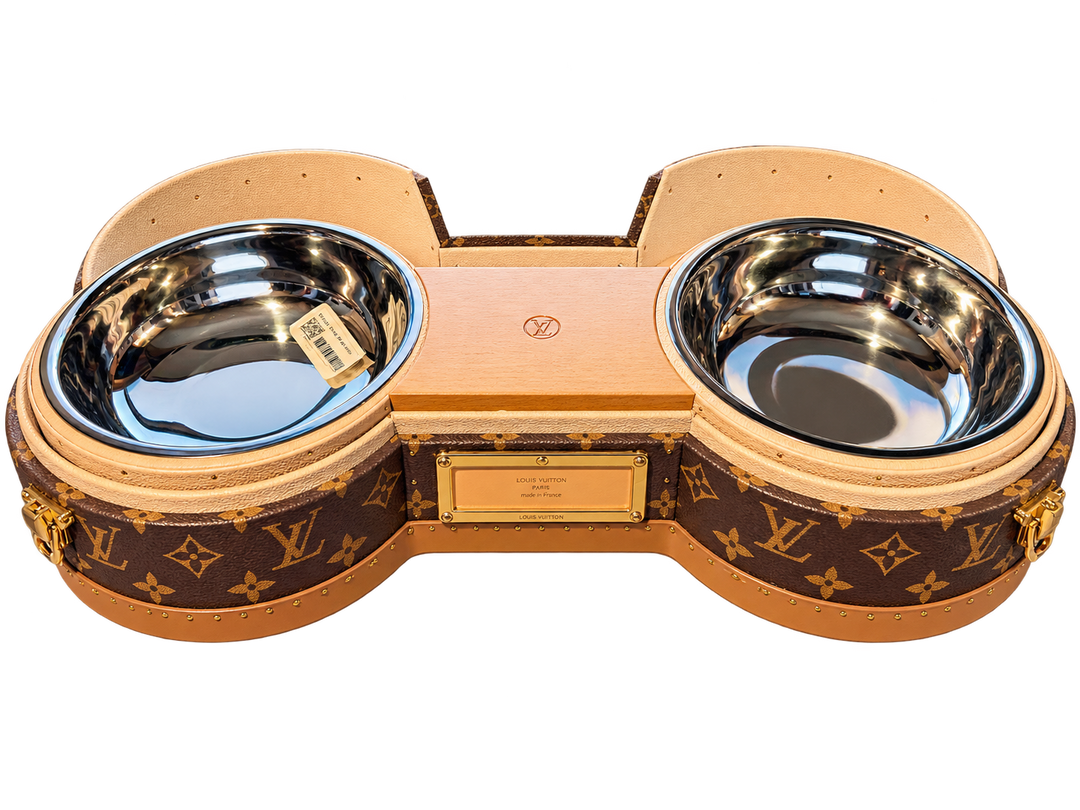 Louis Vuitton Bone Trunk in Monogram