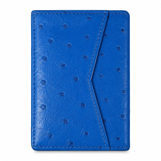 Louis Vuitton Ostrich Pocket Organizer Bleu