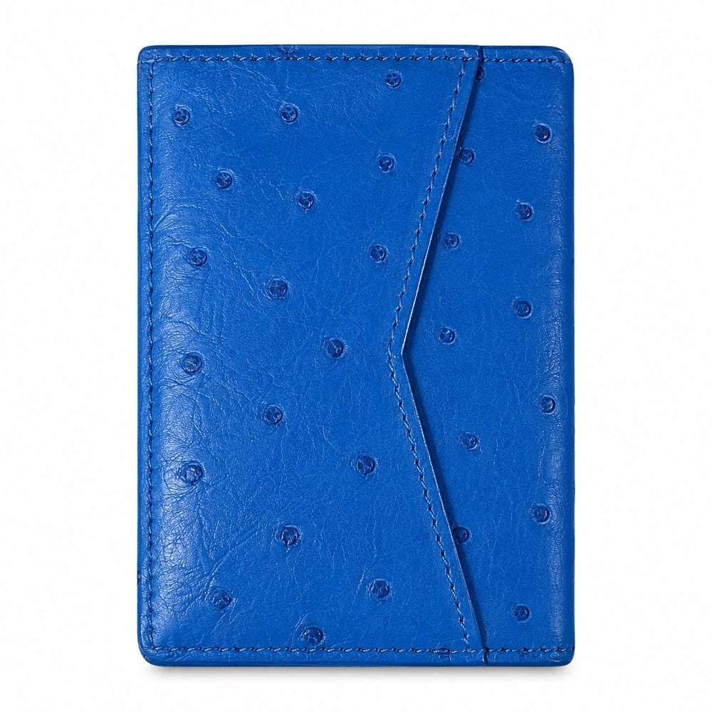 Louis Vuitton Ostrich Pocket Organizer Bleu