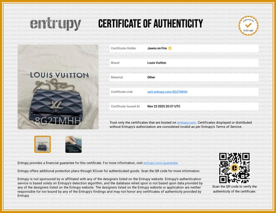 Louis Vuitton Go-14 Iridescent Grey Bag