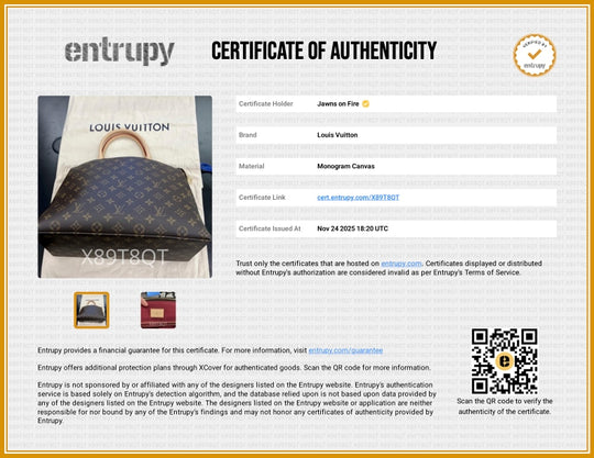 Louis Vuitton Delightful Cloth Hand Bag